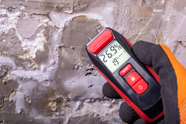 Best Forensic Mold Investigation  in Tlassee, AL